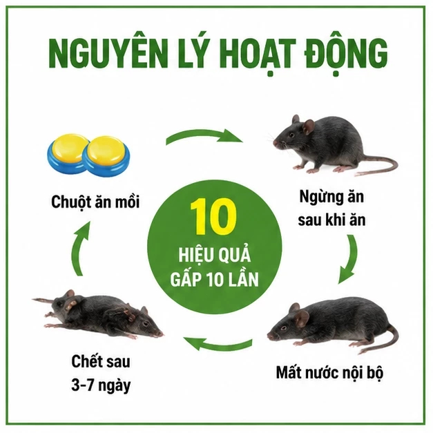 🐭 Diệt chuột mạnh mẽ 10 viên/hộp, mồi bả chuột đậm đặc, hỗ trợ diệt chuột trong nhà hiệu quả