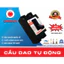 Aptomat Khối OMISUN MCCB 2P 20A 30A 40A Cầu Dao Tự Động Bảo Vệ Quá Tải Lắp Tủ Điện