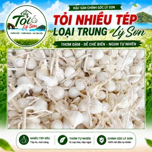 Tỏi Lý Sơn Nhiều Tép Loại Trung Chính Gốc Nhà Tỏi Lý Sơn 1kg