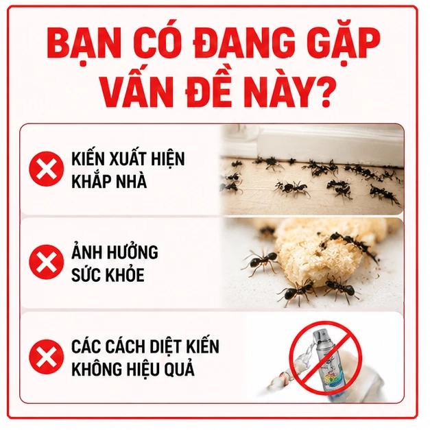 🐜 Thuốc diệt kiến 30 viên siêu mạnh, mồi bả kiến đậm đặc, hỗ trợ tiêu diệt tổ kiến hiệu quả lâu dài