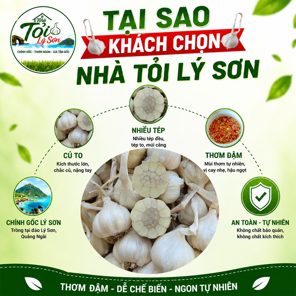 Tỏi Lý Sơn Nhiều Tép Củ To Loại 1 Chính Gốc Nhà Tỏi Lý Sơn 500g