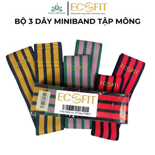 Dây Kháng Lực MiniBand Tập Mông ECOFIT Tập Gym,Tập Yoga 3 Mức Co Giãn Cho Người Mới Bắt Đầu