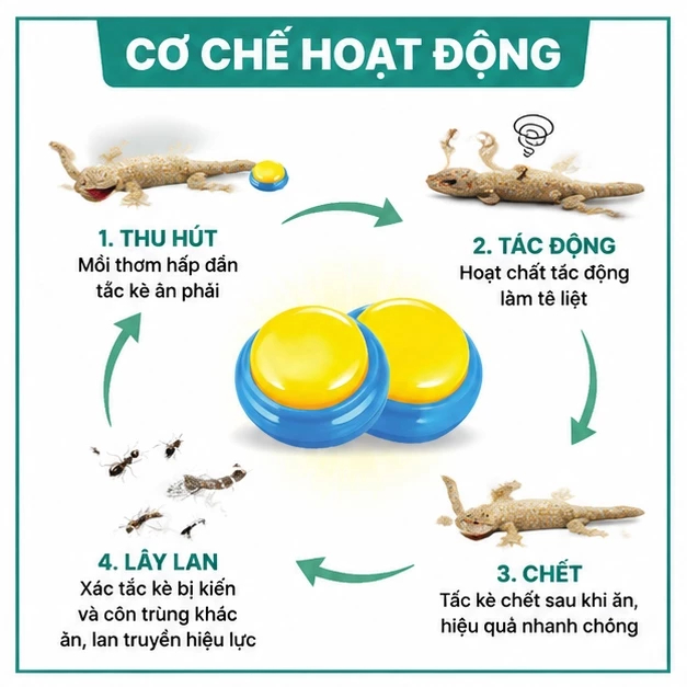 🦎 Thuốc diệt thằn lằn 16 viên/hộp, dễ sử dụng, phù hợp phòng ngủ, nhà bếp và khu vực có thằn lằn