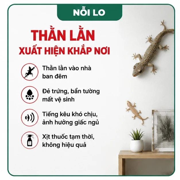 🦎 Bả diệt thằn lằn 16 viên, dễ đặt tại góc tường, trần nhà, phù hợp nhiều không gian trong nhà