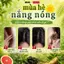 Dầu Gội Xả Bưởi Hà Thủ Ô Susoft – Giảm Gàu và Bết Tóc, Bóng dầu, Kích Mọc Tóc, An Toàn - 500ml
