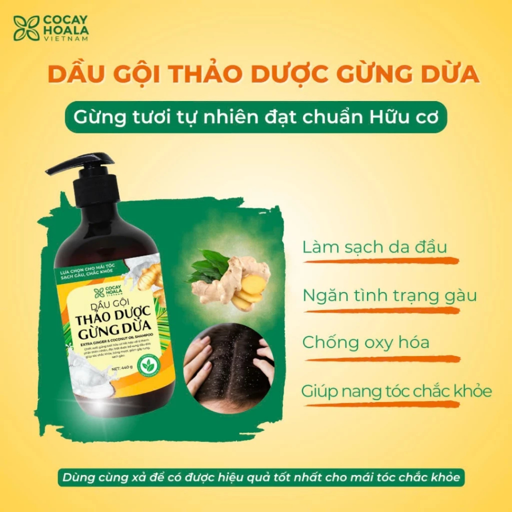 Combo Dưỡng Tóc Cỏ Cây Hoa Lá Gừng Dừa, Dầu Gội Làm Tóc Hết Bết Dính Chắc Khoẻ, Dầu Xả Giúp Tóc Suôn Mượt Giảm Rụng Tóc