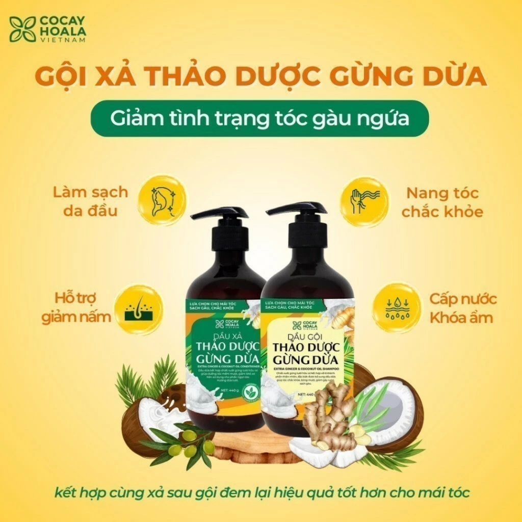 Combo Dưỡng Tóc Cỏ Cây Hoa Lá Gừng Dừa, Dầu Gội Làm Tóc Hết Bết Dính Chắc Khoẻ, Dầu Xả Giúp Tóc Suôn Mượt Giảm Rụng Tóc