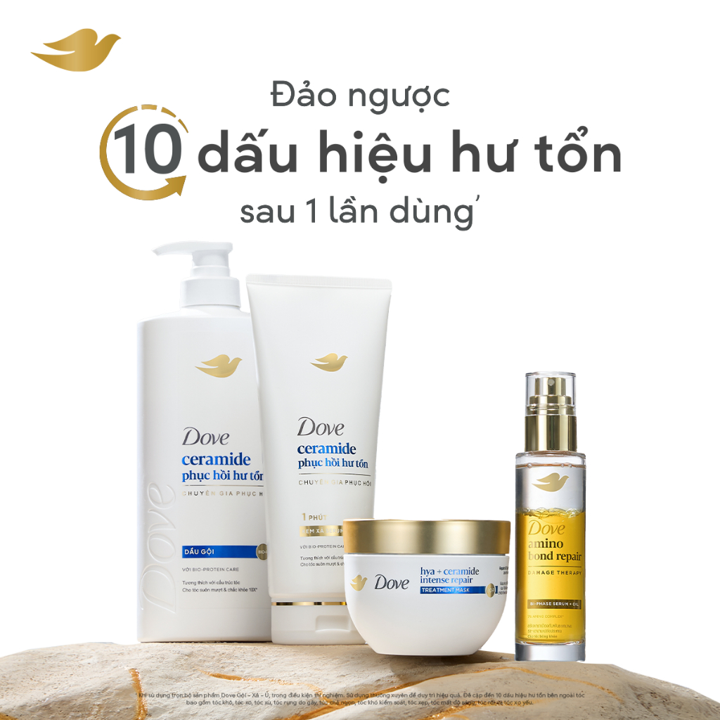Combo Dầu Gội, Kem Xả Dove Ceramide Phục hồi hư tổn/Biotin Ngăn gãy rụng tóc mới 600G