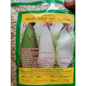 1kg Hạt Giống Ngô Nếp Nù Xanh, Cty Trang Nông Nổi Tiếng, Năng Suất Cao, Trồng Quanh Năm, Chắc Như Bắp