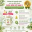 Tinh Dầu Tràm Ấm Thái An Chiết Xuất Thiên Nhiên Nguyên Liệu Dược Điển Việt Nam V (Chai 30ml))