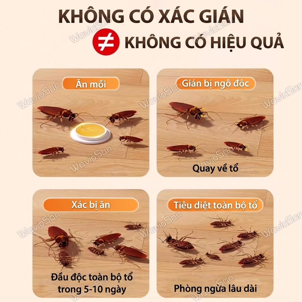 🪳 Thuốc diệt gián 16 viên siêu mạnh, mồi bả gián đậm đặc, hỗ trợ giảm gián trong gia đình