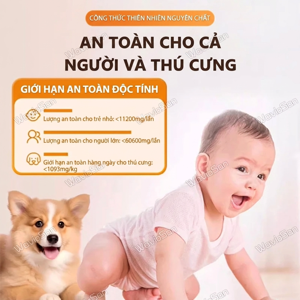 🪳 Mồi diệt gián 16 viên/hộp, công thức dẫn dụ mạnh, phù hợp nhà bếp, phòng tắm và phòng khách