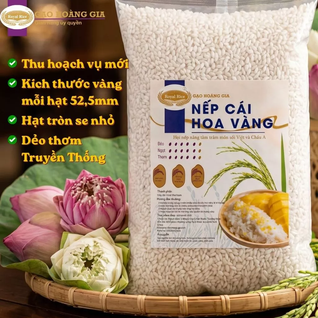 Nếp Cái Hoa Vàng (Nếp Bắc) Hoàng Gia – Hạt Tròn Se Nhỏ Chuẩn 52,5mm , Dẻo Thơm Truyền Thống
