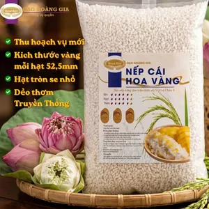 Nếp Cái Hoa Vàng (Nếp Bắc) Hoàng Gia – Hạt Tròn Se Nhỏ Chuẩn 52,5mm , Dẻo Thơm Truyền Thống