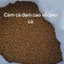 500g Cám cá vàng, cá Koi AF CA01 hạt 1ly (40% đạm) tăng size nhanh lên màu mạnh