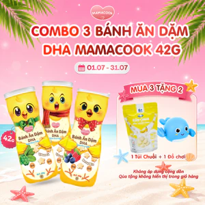 Combo 3 Hộp Bánh Ăn Dặm DHA MAMACOOK 42g đủ vị - Bổ Sung DHA, Hỗ Trợ Tiêu Hóa Bé 6M+