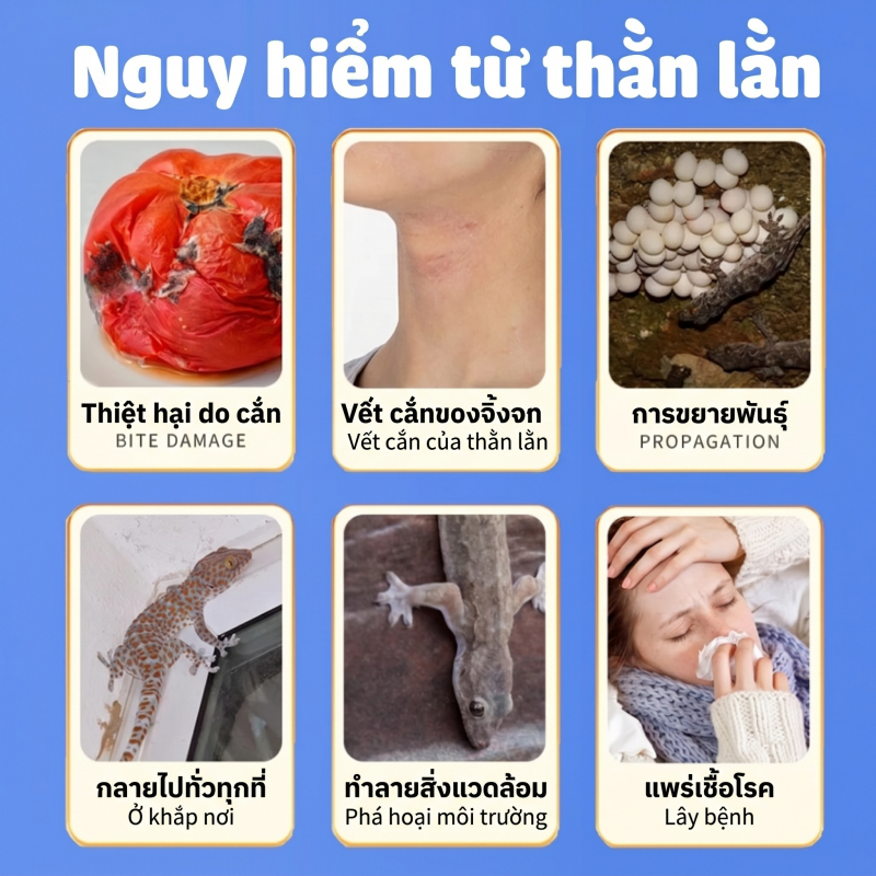 🦎 Bả diệt thằn lằn 16 viên, dẫn dụ mạnh, phù hợp góc tường, trần nhà và khu vực có thằn lằn