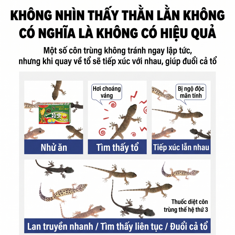 🦎 Bả diệt thằn lằn 16 viên, dẫn dụ mạnh, phù hợp góc tường, trần nhà và khu vực có thằn lằn