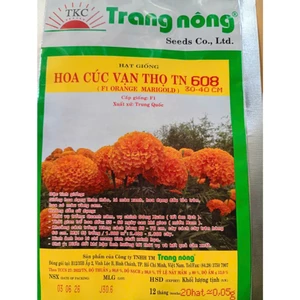 20 Hạt giống Hoa Cúc Vạn Thọ TN608, Bông To, Cổ Bông Chắc, Hạt Nảy Mầm Mạnh, Trồng Quanh Năm, Cty Trang Nông Nổi Tiếng