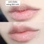 Dưỡng môi CNP Laboratory Propolis Lipcerin mặt nạ môi keo ong 15ml phục hồi và giữ ẩm môi