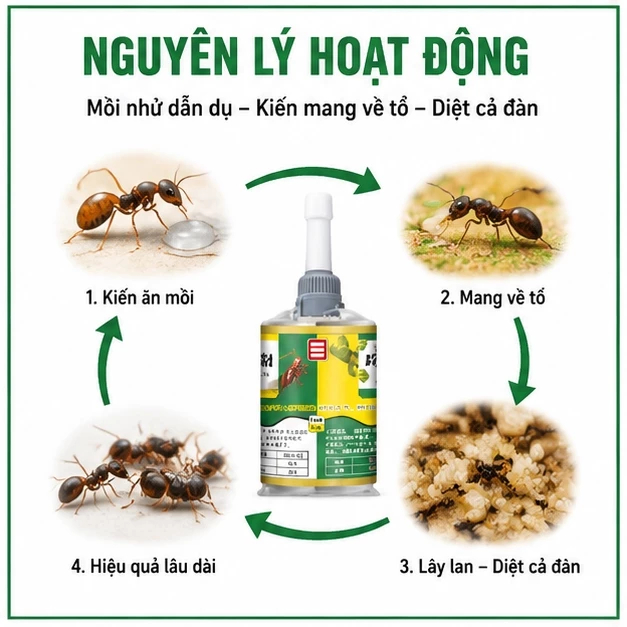 🐜 Diệt kiến nhập khẩu Nhật Bản tiêu diệt tận ổ kiến hiệu quả cao, an toàn cho nhà ở và trẻ nhỏ