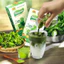 Naturuts Bột Đậu Xanh Rau Má Cốt Dừa 400g (40 Gói x 10g) - Dinh Dưỡng Tự Nhiên, Vị Thanh Mát Thơm Béo
