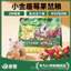 Thức ăn GJGJO Nutrion Beauty Hair Fattening Chuột Hamster Mini,Bear Bổ Sung 8 Loại Trái Cây
