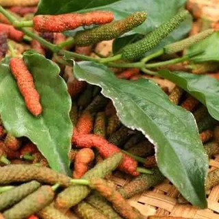 Tiêu Lốp (Tiêu Dài) Thơm Cay