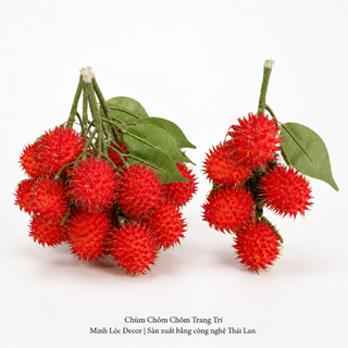 Chùm Chôm Chôm 5 trái/ chùm trang trí Cao cấp | Trái Cây Nhựa foam, Trái Cây trang trí, Trái Cây Mô Hình