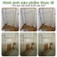 Giá Treo Quần Áo Gỗ Tre Thiết Kế Nhiều Nhánh Có Bánh Xe Xoay 360° Kích Thước 50-100cm Bảo hành
