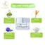 Combo kem nám và serum KN Beauty làm sạch trắng da ngừa nám DC15