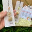 Móc Khóa Mèo Nhỏ Xinh Kèm Chuông / Pom Pom – Charm Điện Thoại, Balo, Túi Xách Siêu Cute
