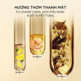 Dầu Xả PANTENE Siêu Dưỡng Ngăn Rụng Tóc Chai 480ML