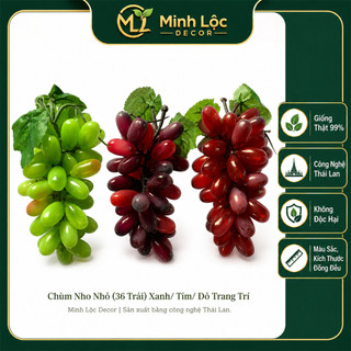 Chùm Nho Nhỏ Xanh/ Tím/ Đỏ (36 trái) trang trí | Trái Cây Nhựa foam, Trái Cây trang trí, Trái Cây Mô Hình
