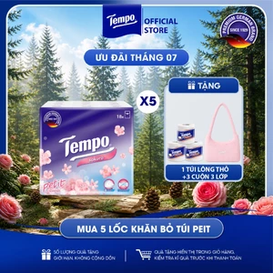 Khăn Giấy Bỏ Túi Petit 18 Bền Dai Thương Hiệu Đức (LỐC 18 GÓI)