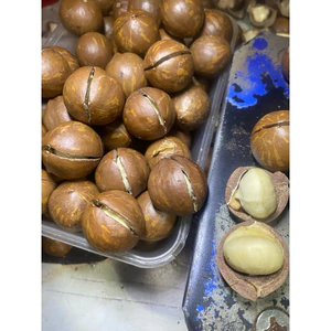 Macca Size Đại -Macca Tiến Đạt 167
