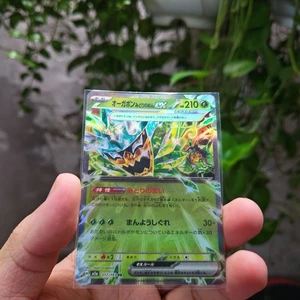 Thẻ Pokemon Japanese Teal Mask Ogerpon EX 017/193