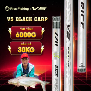 Cần câu đài săn hàng trắm đen V5 BLACK CARP RICE FISHING carbon 30T+40T CC-38