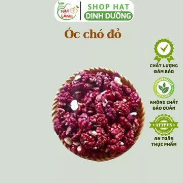 500g Nhân Hạt Óc Chó ĐỎ Mỹ sống giàu chất béo, ít tinh bột thực phẩm khô - Tiệm hạt lành