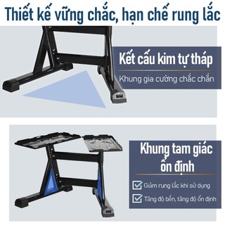 LYSIN Kệ Đỡ Tạ Đa Năng Cao Cấp, Dùng Cho Tạ Tay 20kg, 24kg, 32kg, 40kg