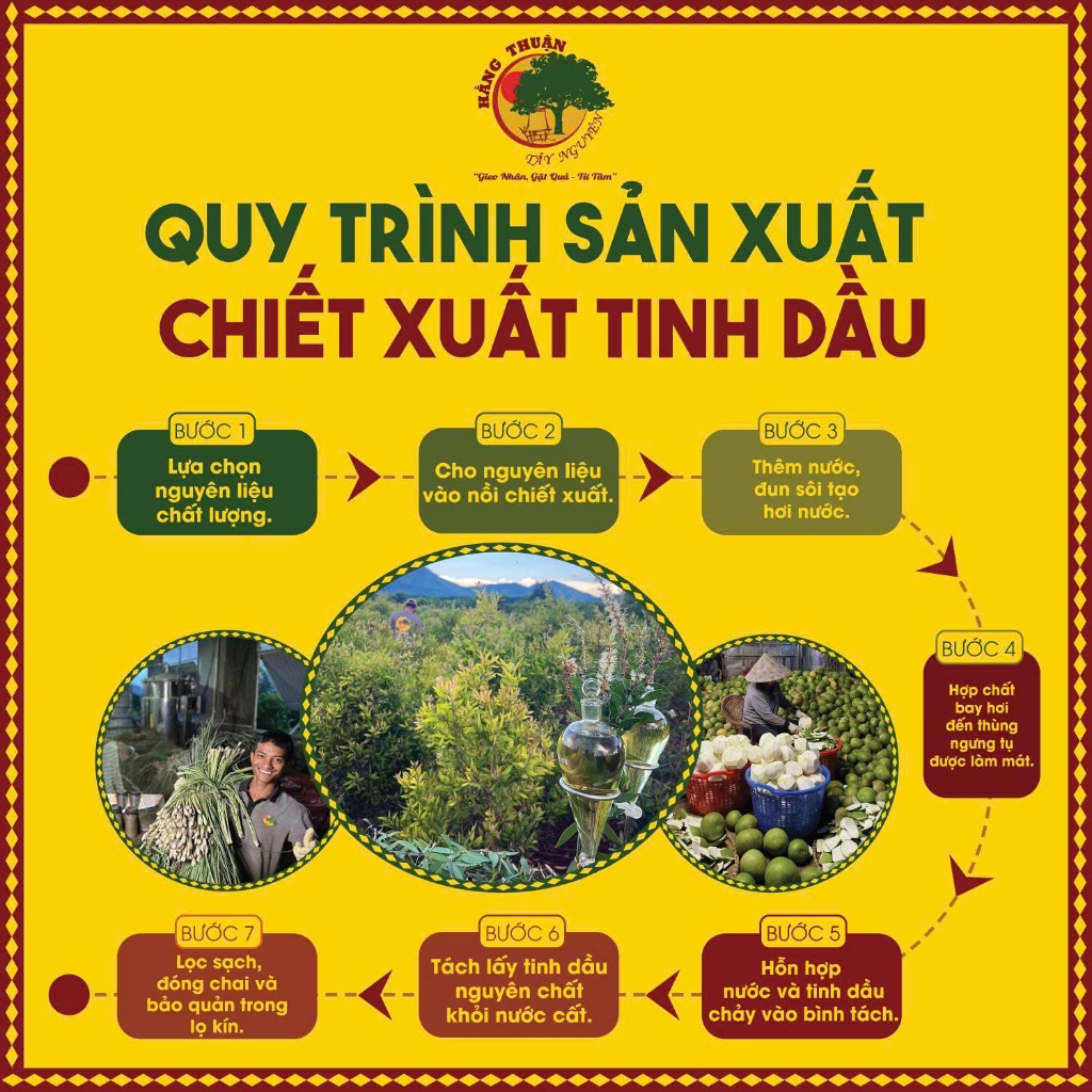 Tinh Dầu Sả Nguyên Chất 20ml -100ml