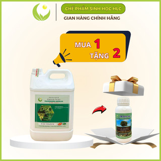 NẤM ĐỐI KHÁNG TRICHODERMA BACILLUS HLC CAN 5 L (DẠNG NƯỚC) - ĐỐI KHÁNG NẤM BỆNH, PHÒNG THỐI RỄ, TUYẾN TRÙNG, CẢI TẠO ĐẤT