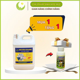 NANO ĐỒNG OXYCLORUA HLC 5 lít - ĐẶC TRỊ NẤM BỆNH, VI KHUẨN CÂY TRỒNG, DỪNG BỆNH NHANH CHÓNG, HOÀN TOÀN AN TOÀN