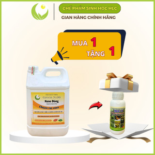 Nano đồng rửa vườn hlc can 5l, xử lý đất trồng, xử lý giá thể trồng cây, tẩy rửa rong rêu, nấm, vi khuẩn sau thu hoạch