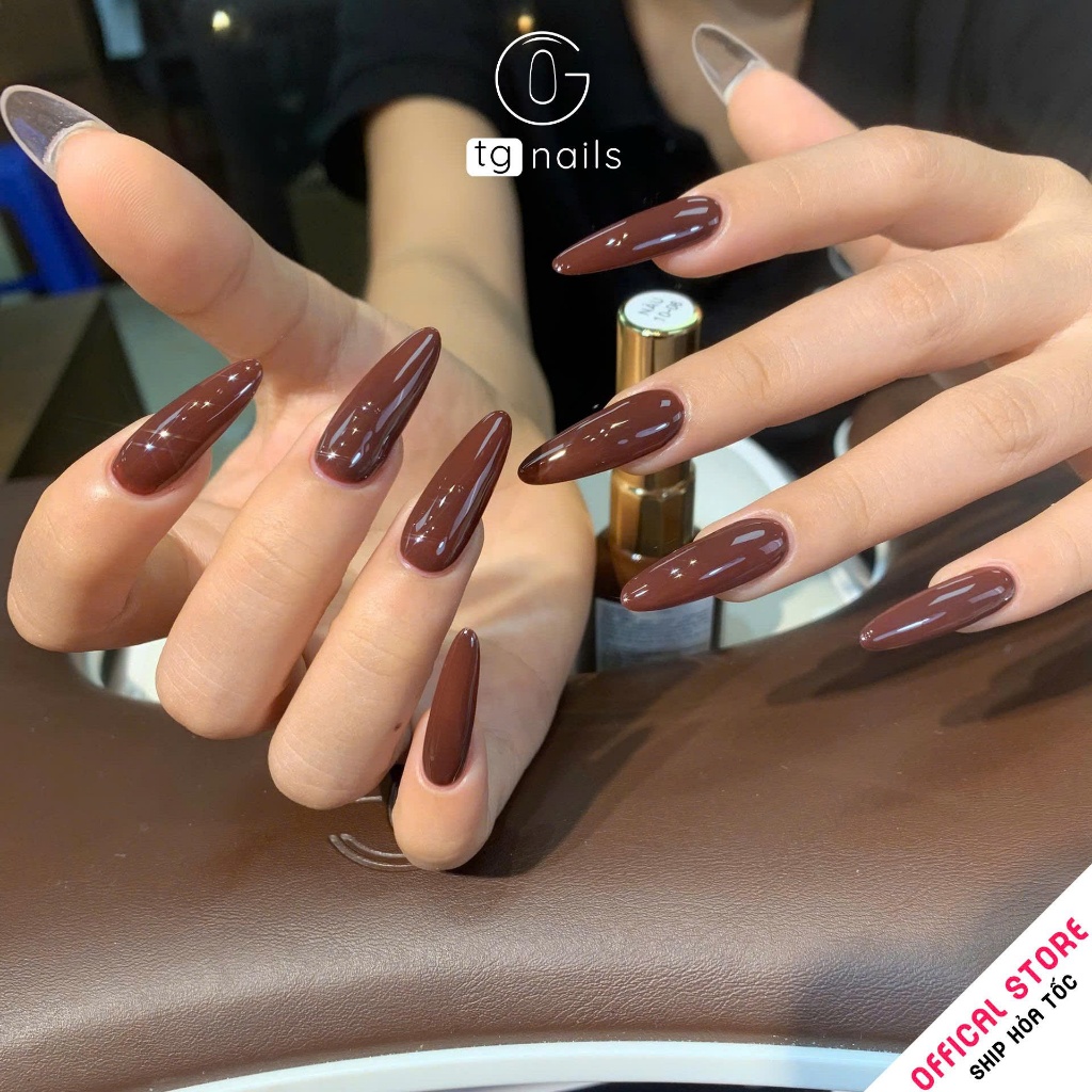Set sơn gel 10 màu tone Nâu quốc dân thương hiệu TG