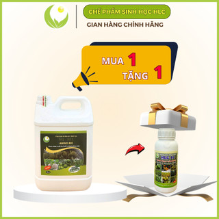 Phân bón sinh học Amino can 5L, dinh dưỡng tổng hợp  giúp cây khoẻ, xanh lá, mập chồi, nhú đọt