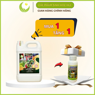 Chế phẩm Green s2+, phòng trừ nấm bệnh can 5L