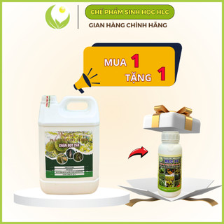 CHẶN ĐỌT 24h can 5L chuyên dùng cho sầu riêng