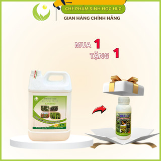 Canxibo 5L cho rau ăn trái cây ớt, bầu bí, cà chua, dưa leo, đậu cove,.. chắc cuống , chống rụng trái, dưỡng trái n