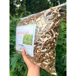 Cây Bồ Công Anh Khô 1KG – Dược Liệu Thiên Nhiên Sấy Khô Sạch – Dùng Pha Trà, Ngâm Nước Uống